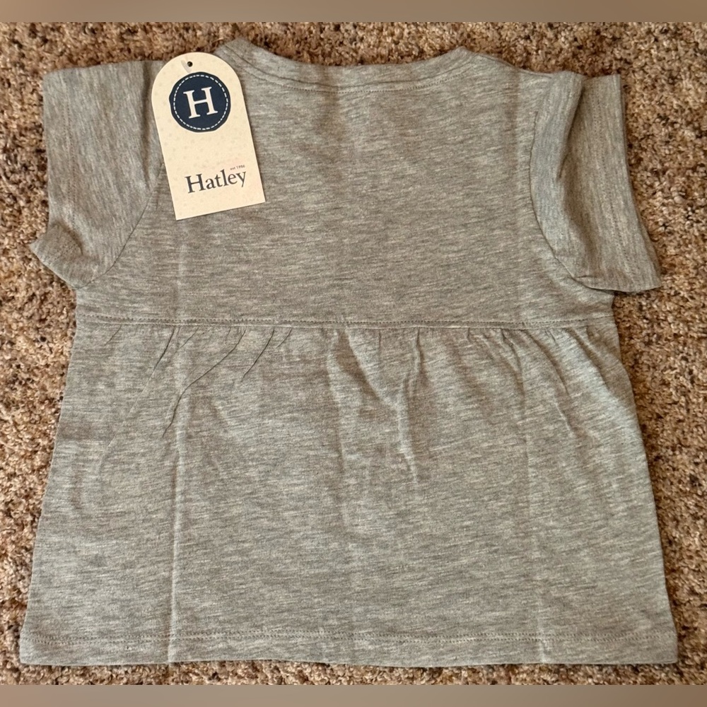 NWT Girls’ Hatley 4T Outfit “Have Fun” Rainbow Tee + Leggings - Picture 8 of 12